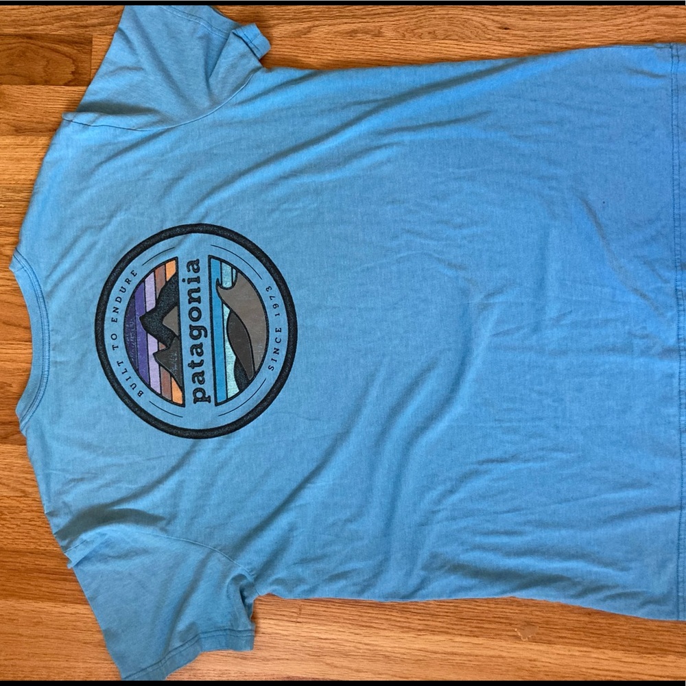 Patagonia tshirt